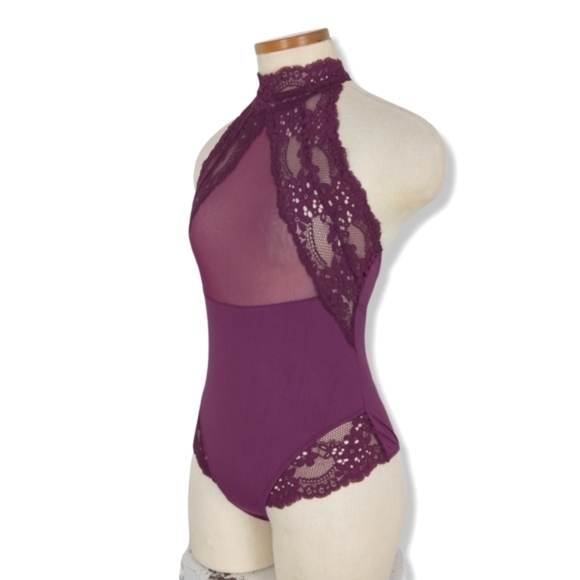 Sexy Lace & Mesh Teddy in Raspberry - Picture 3 of 10